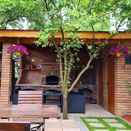 فيلا Cozy House With Nice Garden In Heart Of City Center كلوج-نابوكا المظهر الخارجي الصورة