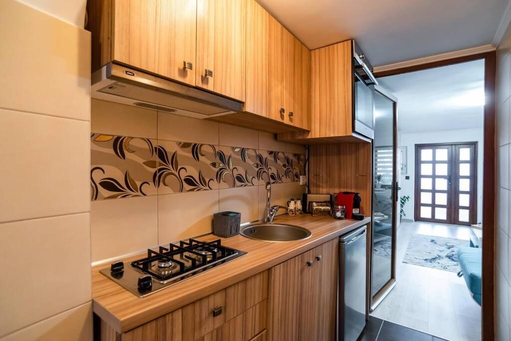 فيلا Cozy House With Nice Garden In Heart Of City Center كلوج-نابوكا المظهر الخارجي الصورة