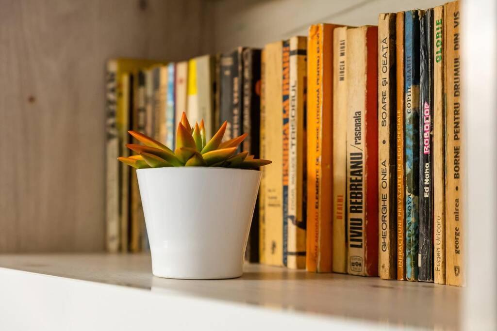 فيلا Cozy House With Nice Garden In Heart Of City Center كلوج-نابوكا المظهر الخارجي الصورة