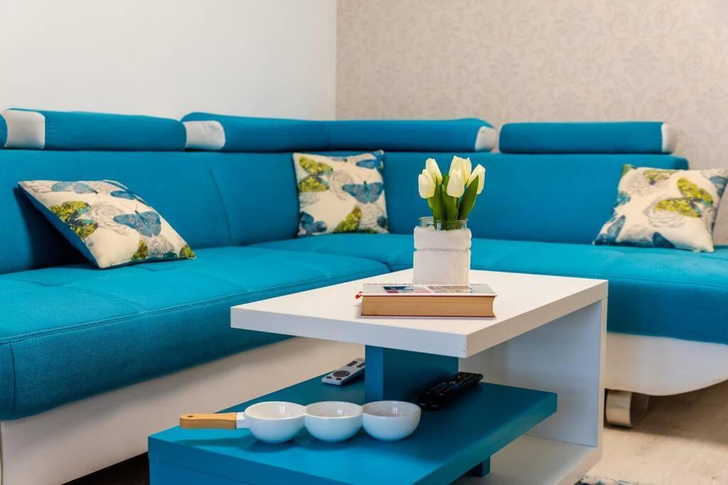 فيلا Cozy House With Nice Garden In Heart Of City Center كلوج-نابوكا المظهر الخارجي الصورة