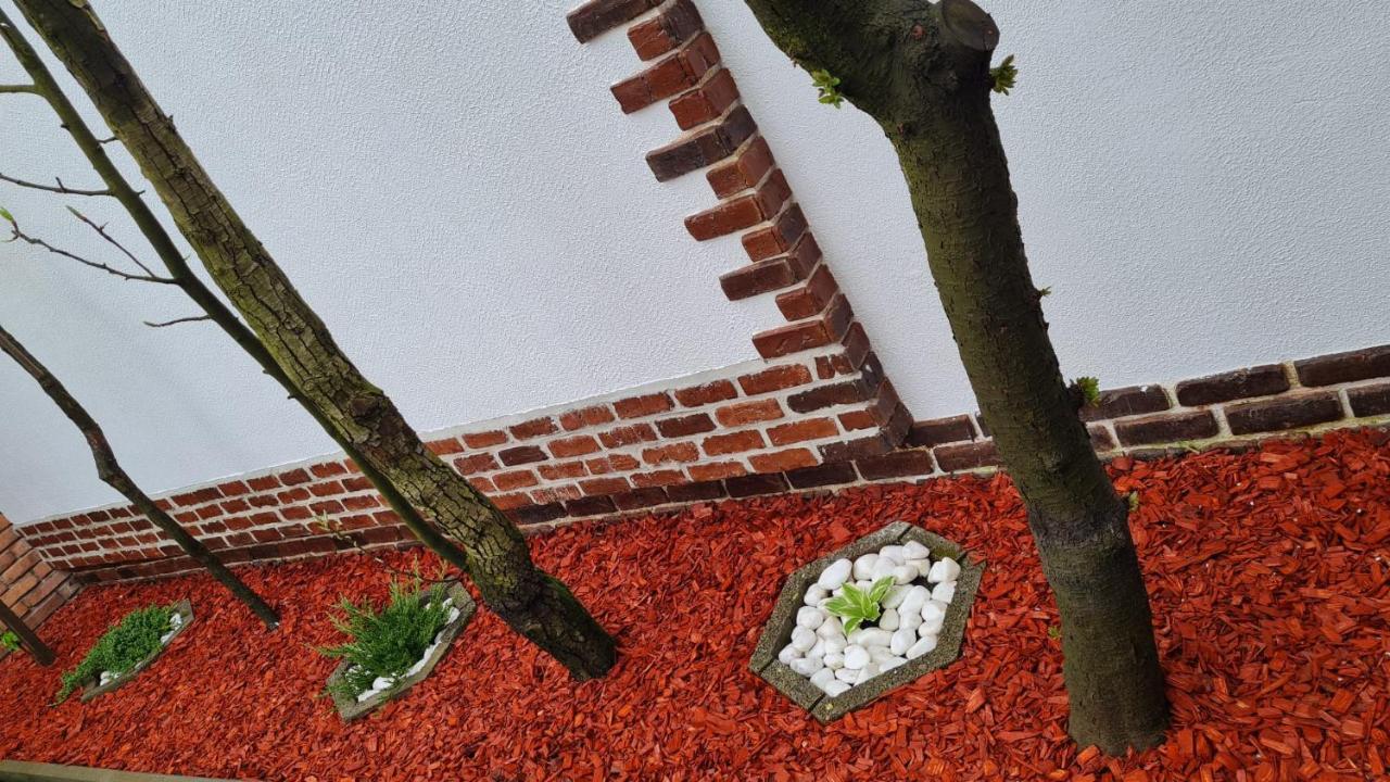 فيلا Cozy House With Nice Garden In Heart Of City Center كلوج-نابوكا المظهر الخارجي الصورة